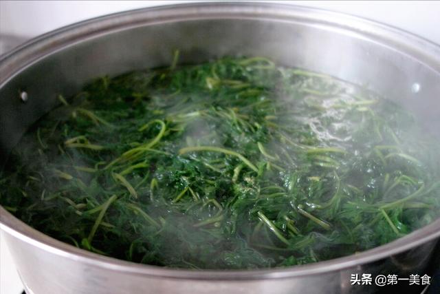 “清明吃一宝，虎年无烦恼”！“1宝”是啥？采摘短，清明正当吃