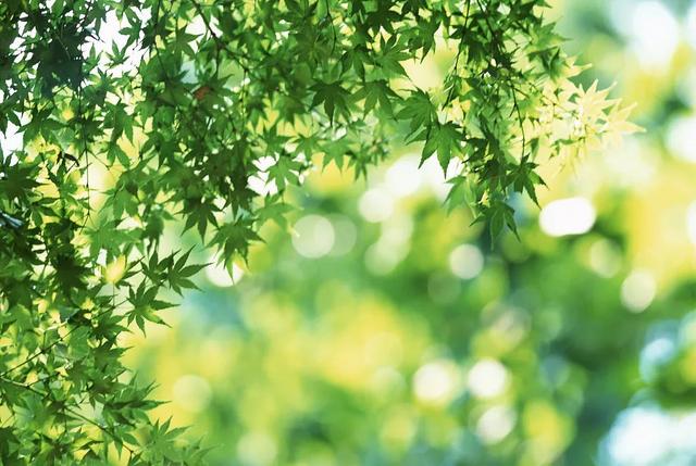 心静，心净，心境