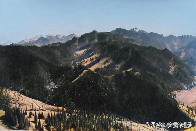 老照片：一個新西蘭人鏡頭下1956年的新疆，雄渾壯美的天山