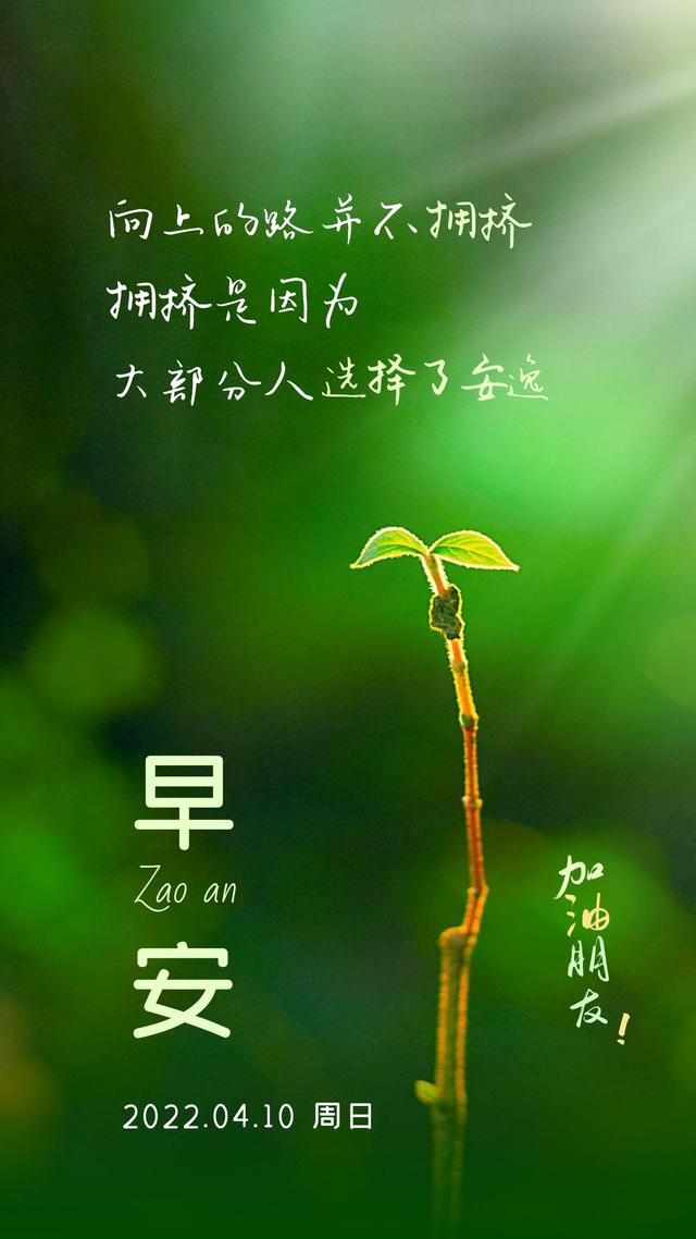早安心语图片正能量语录，心向暖阳，逆风飞翔