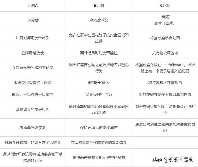狗食粪症
