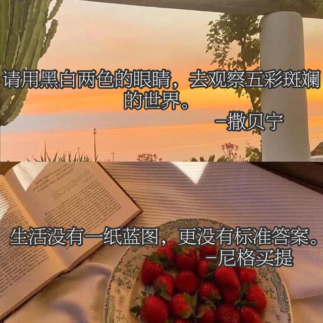 可以写进作文的“央视顶级文案”