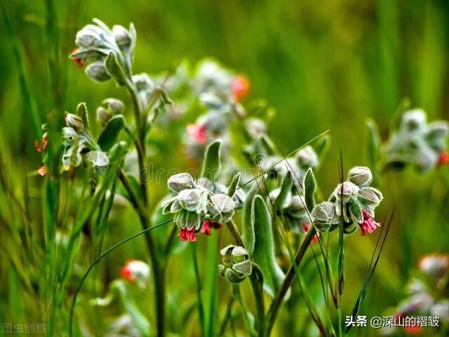 老屋是时间在人间留下的痕迹