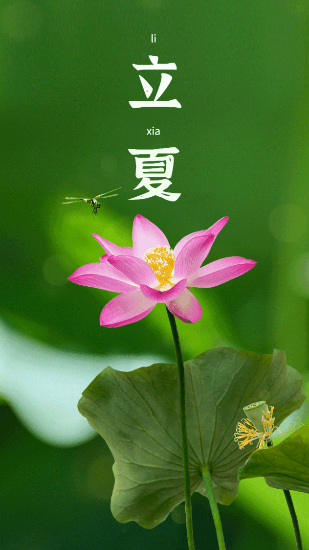 「今日立夏」 春日渐行远，夏日初始来