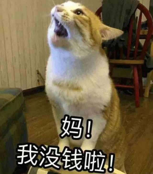 生娃容易养娃难！—打怪升级的养娃之路