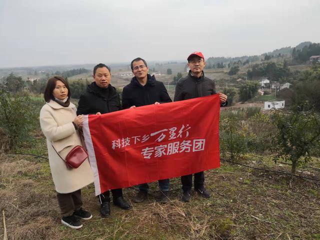 关于资阳专业生产压滤机成套设备品牌的信息