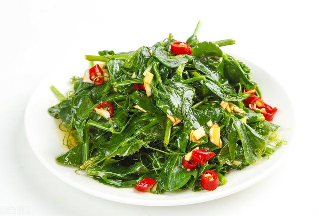 阳春3月，饮食宜“多素少肉”，建议吃6道当季菜，清淡鲜美又润燥