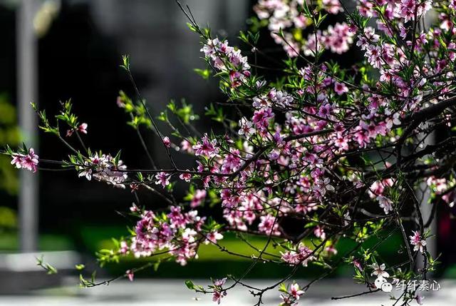 生活不易，互相鼓励