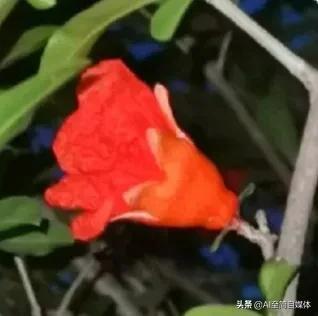 献给那些心地善良，总爱帮助别人的人