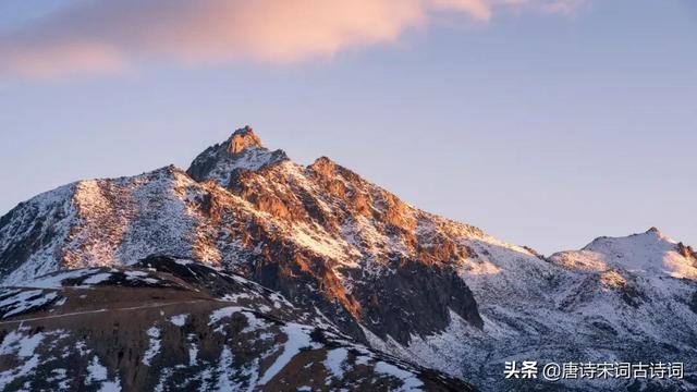 竹白霜的药用功效