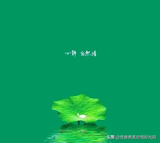 人生四十的反思（二）：最顶级的自律，就是克制纠正别人的欲望