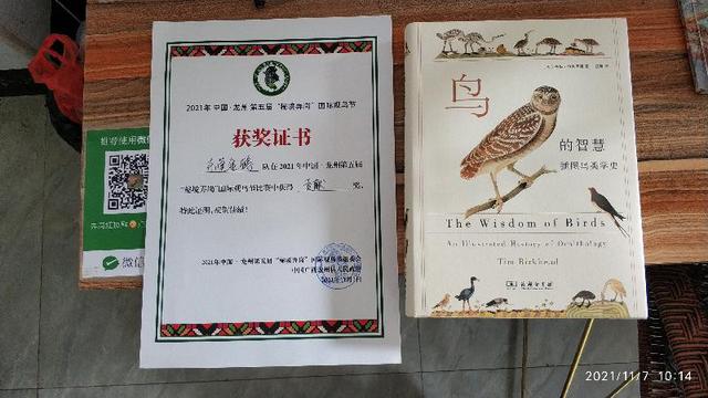 觀鳥兩年——每日期待著與鳥兒的邂逅，踏上了追逐鳥兒的征程