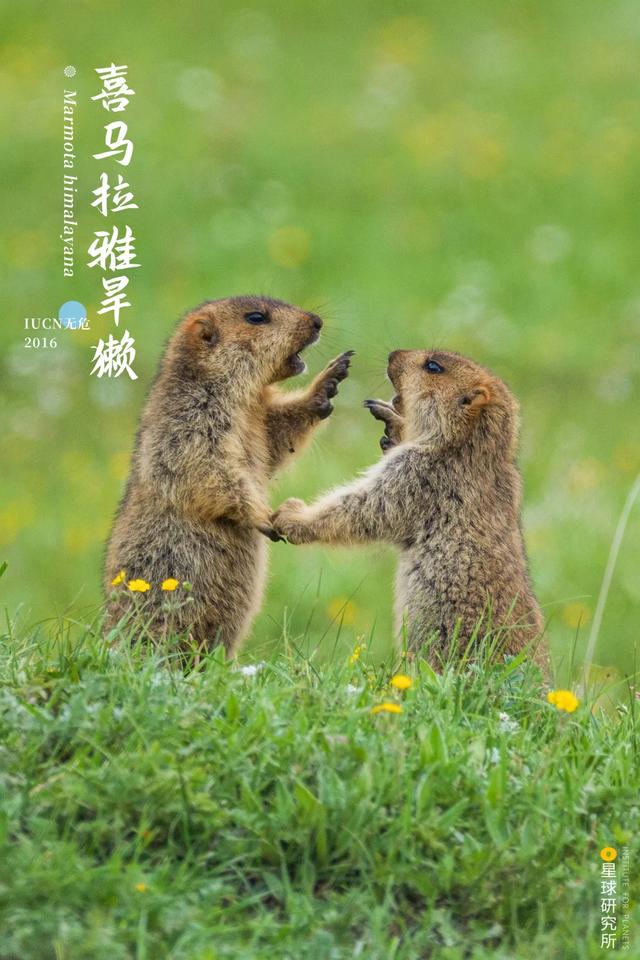 甘肃洗风化砂机哪里卖