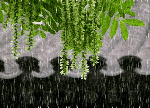 24～27号，大范围特大暴雨连下四天，60年一遇冷夏要来？农谚咋说