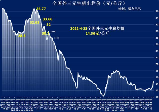 猪价“跌翻天”，蛋价涨跌分化，玉米突迎“分水岭”，啥情况？