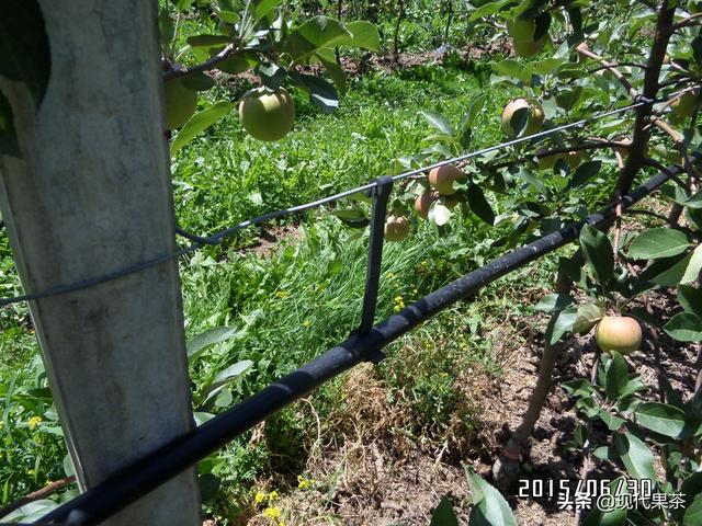 2018年意大利农业机械展