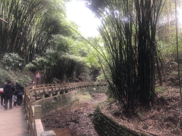 一不小心又成了夜遊~周末街子古鎮康道徒步到光嚴禅院~腳都走麻了