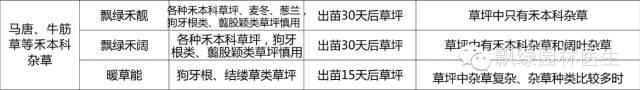 春季草坪杂草化学防除技术29