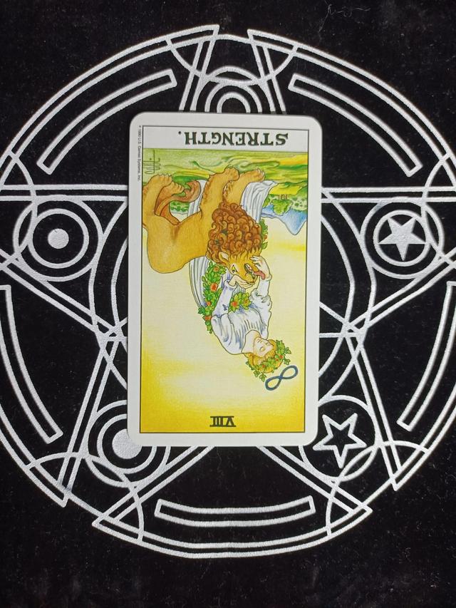 「塔罗笔记」每天认识一张牌:8号牌力量