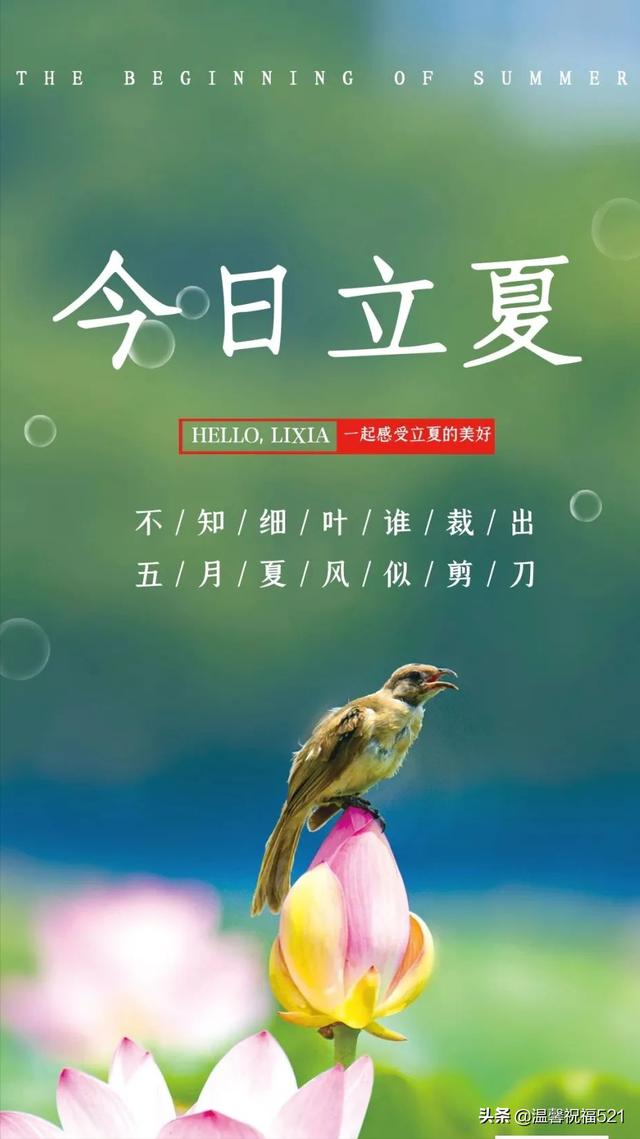 5月5日立夏图片高清，立夏发朋友圈句子