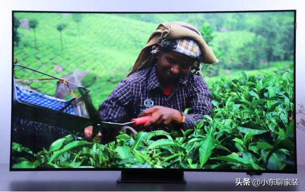 入手75英寸TCL X11电视，终于搞清了三四千和一万多的有什么区别了