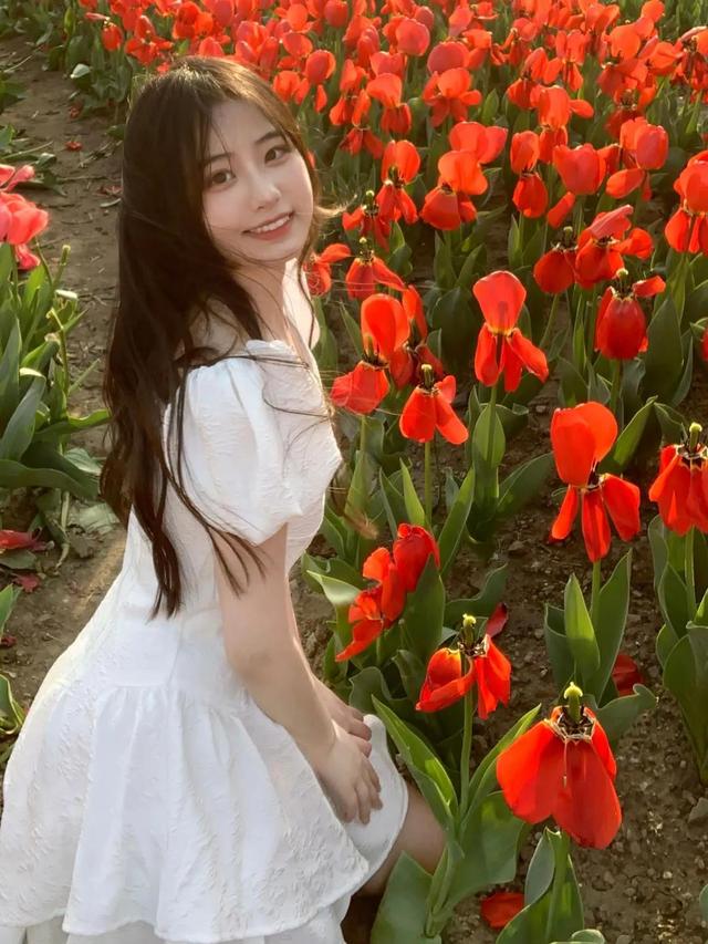 春日是永不消亡的罗曼蒂克