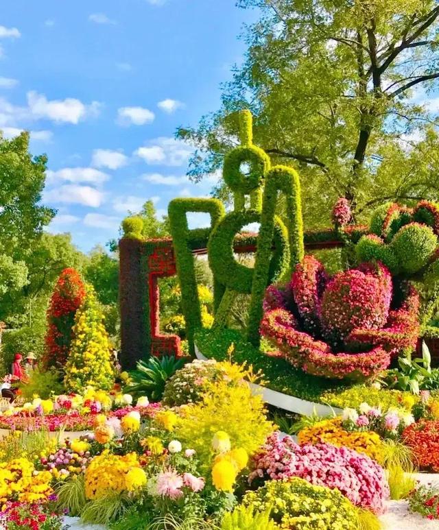 美丽的乡村
