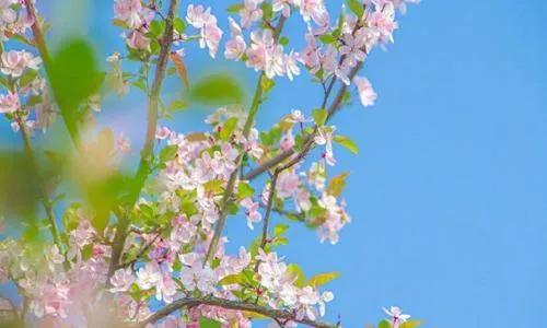 散文：愿世间所有美好，都在三月不期而遇