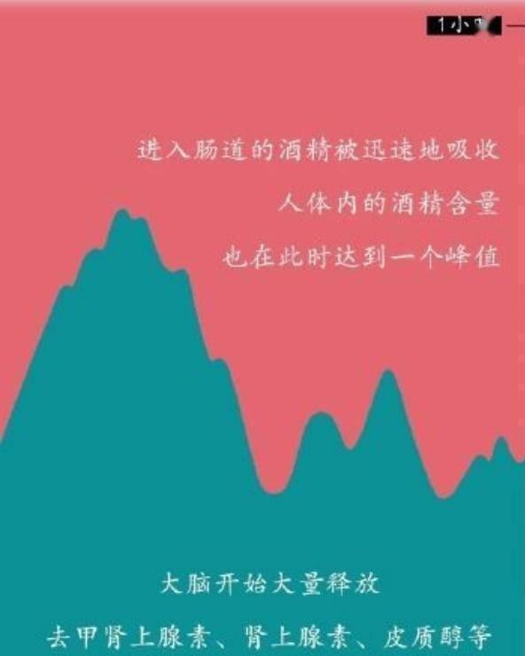 为什么要戒酒？科普：喝酒后人体24小时的变化，看完你还会喝酒吗
