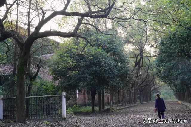 合肥水泥机械展