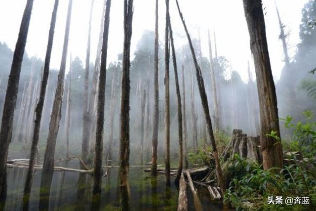 南投10個人氣景點，當然不能錯過日月潭