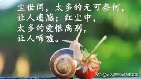 感悟人生的经典句子