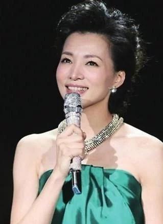 央视一姐董卿：现任老公因债务危机失联三个月，她该怎么办？