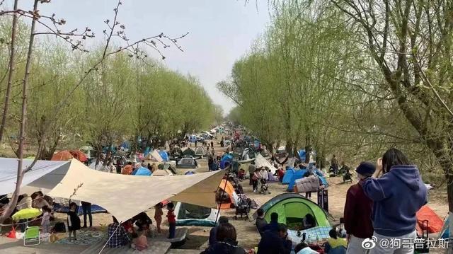 清明假期，你的朋友圈被户外露营刷屏了吗