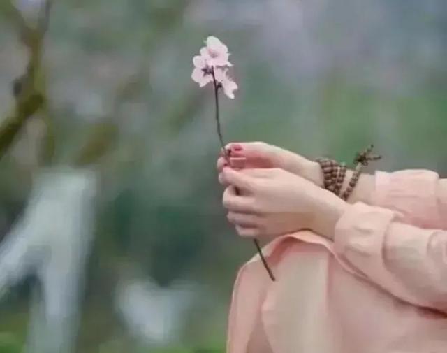 「散文」陌上花开缓缓归