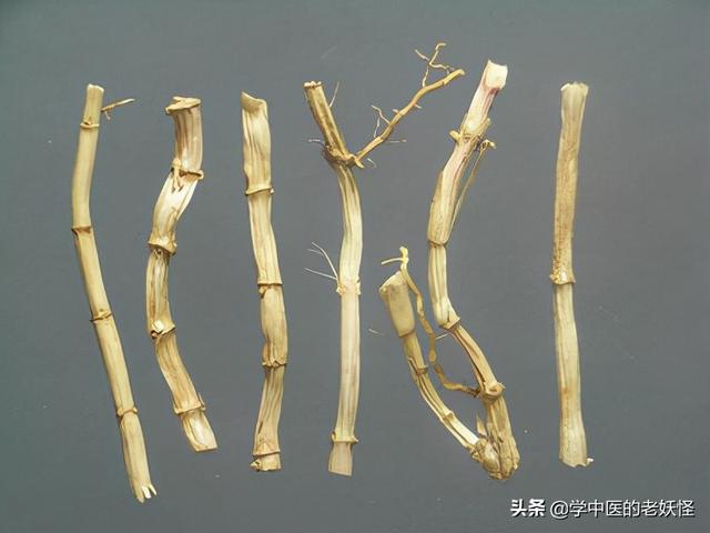 每天学习一味中药——白茅根