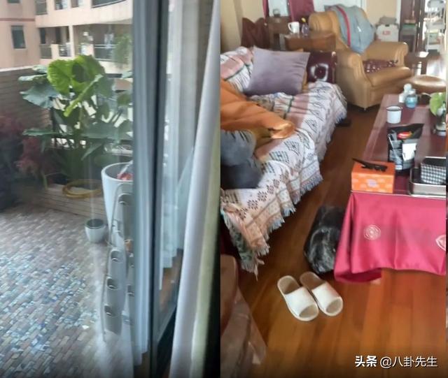 疫情暴露上海明星住宅：18线明星住1500万别墅，老戏骨家近黄浦江