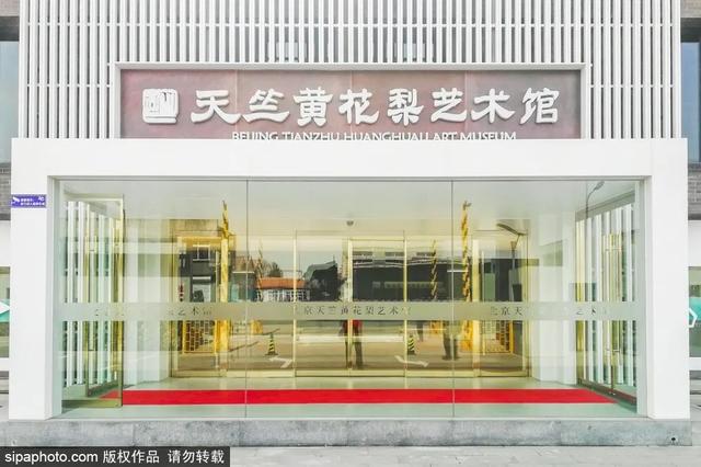 来宾冰雕展工程
