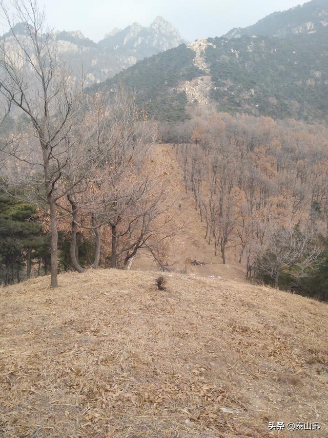 驢行泰山之黃崖山西山梁橫嶺