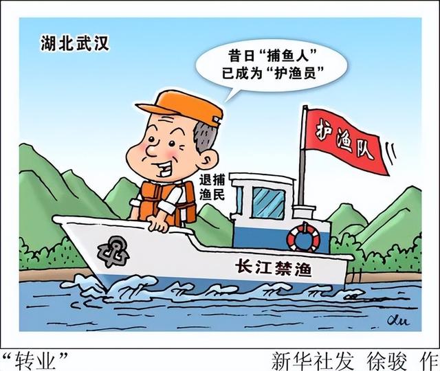 冲上热搜！“十年禁渔”不放弃，终于等到“水上大熊猫”