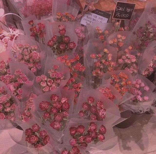 世上不只有红玫瑰代表爱哦，记得这些花送给最爱你的人”