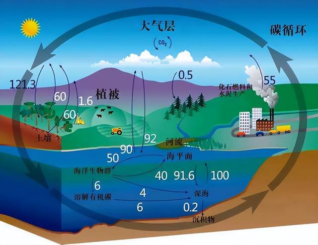 南冰洋通过这两种方式，每年“吸碳”上亿吨，温室气体能解决吗？