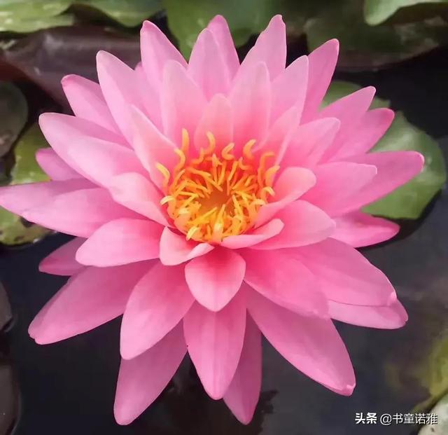 给友友们的一封公开信