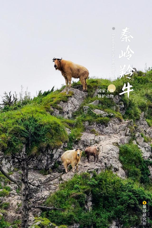 甘肃洗风化砂机哪里卖