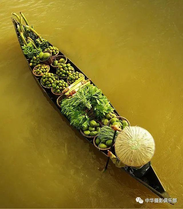 太美了！金奖摄影作品欣赏——