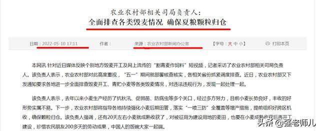 青储小麦已定性，青麦升级为粮食安全，种粮利益该如何调节？