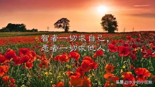 早安心灵鸡汤句句经典正能量，最棒的微信早安语录句子