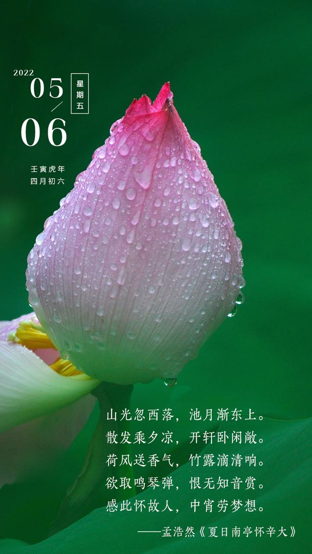 早安心语图片正能量阳光语录，你的力量，不可估量