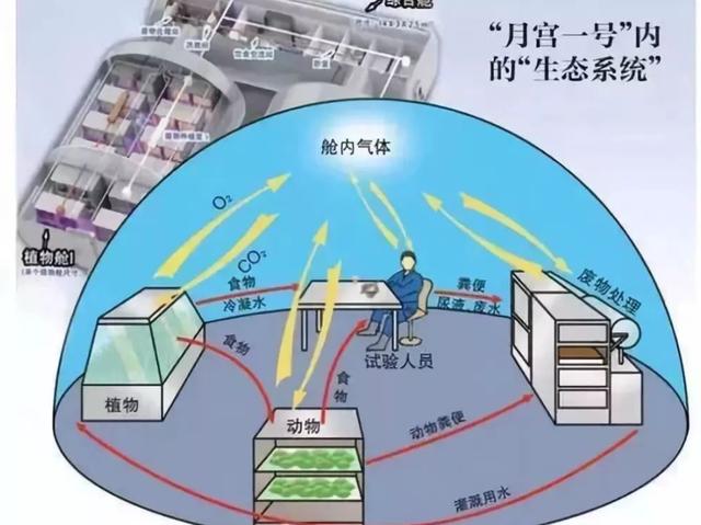 4男4女曾进行封闭空间实验，结果发现，人类被一直“困”在地球？