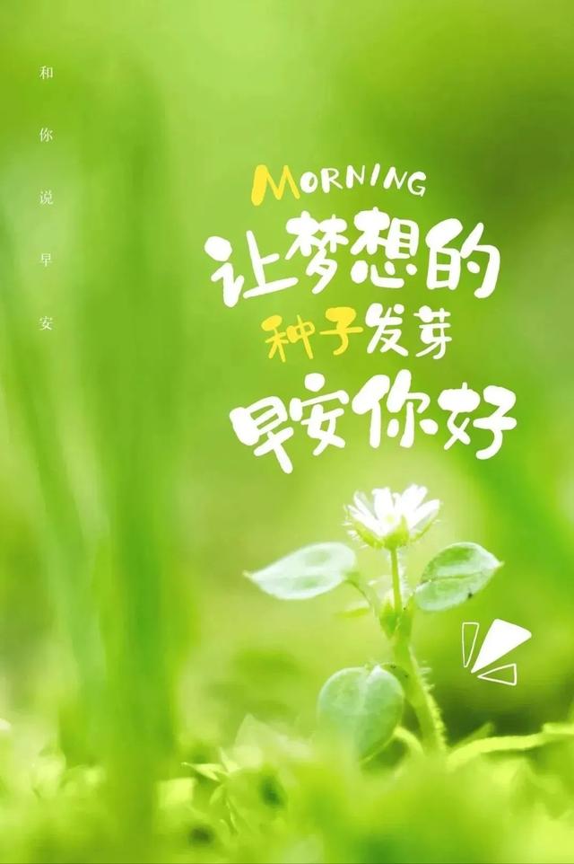 励志语录 别总是羡慕别人的成功，自己却不敢开始
